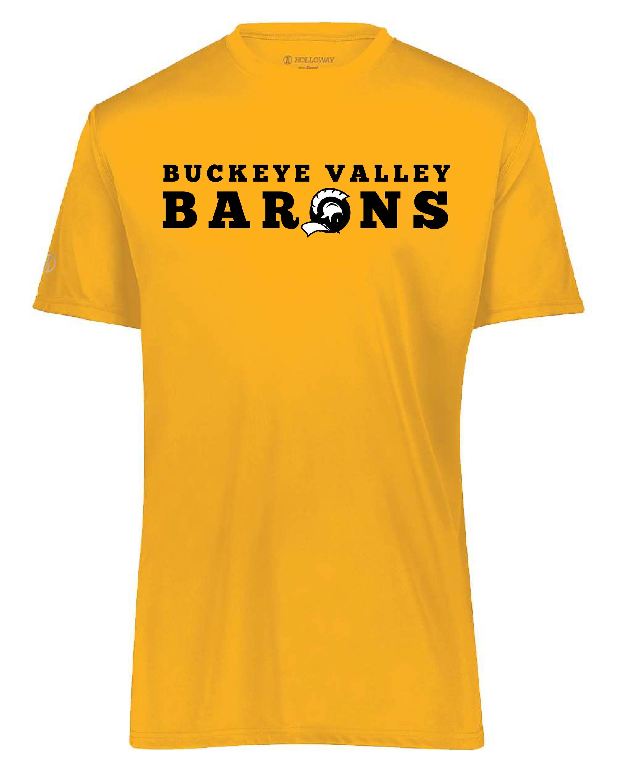 Buckeye Valley Dri-Fit T-shirt- Adult and Youth sizes- Customizable