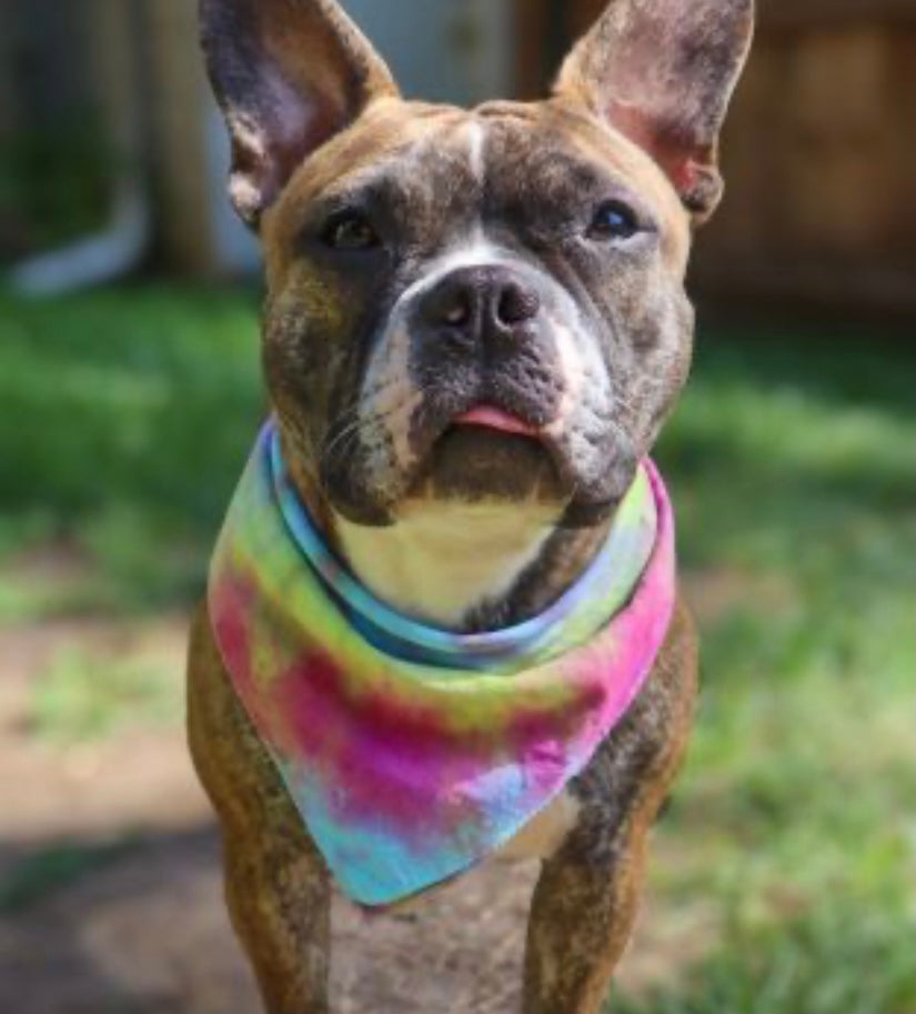 Tie-Dye Dog Bandana