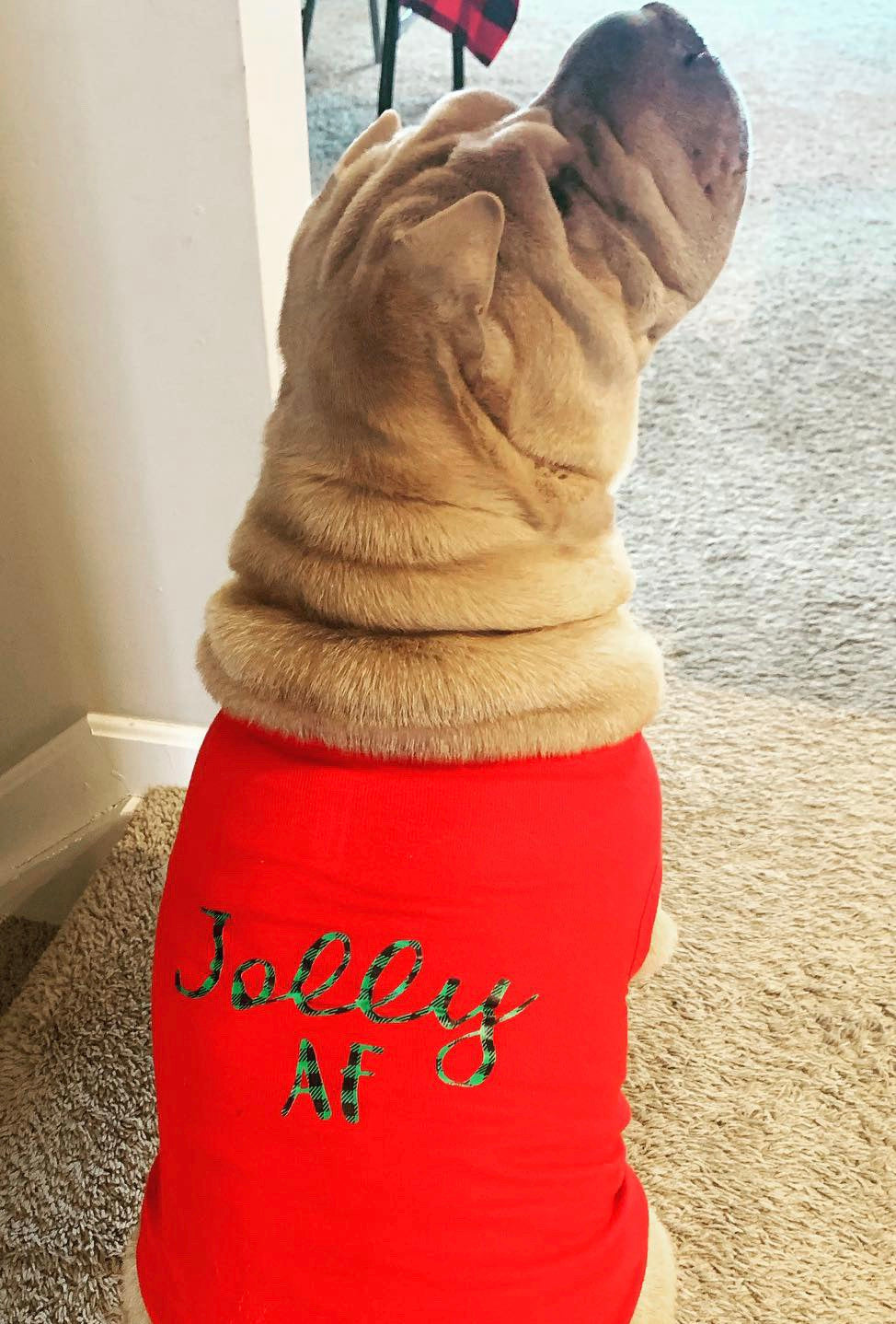 Jolly AF Holiday Dog Shirt