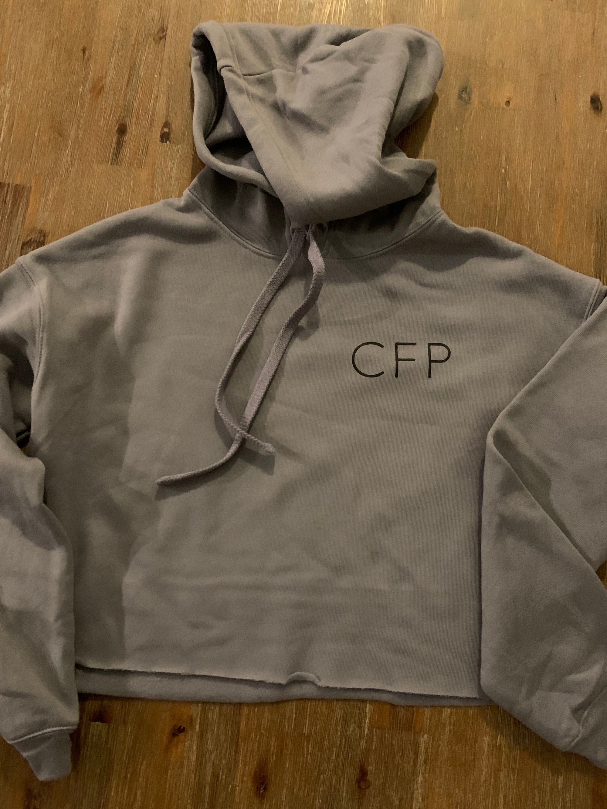 Polaris Grey Crop Hoodie